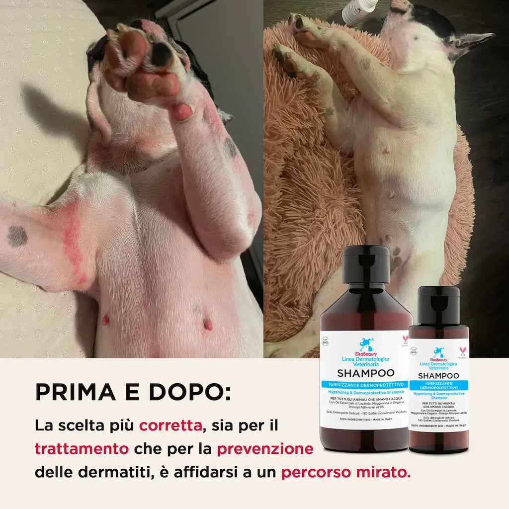 Prima e dopo utilizzo dello shampoo per dermatite e irritazioni cutanee del cane ElsaBeauty