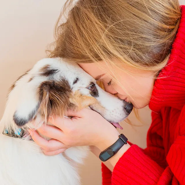 supporto professionale nelle problematiche cutanee del cane e gatto con prodotti dermatologici