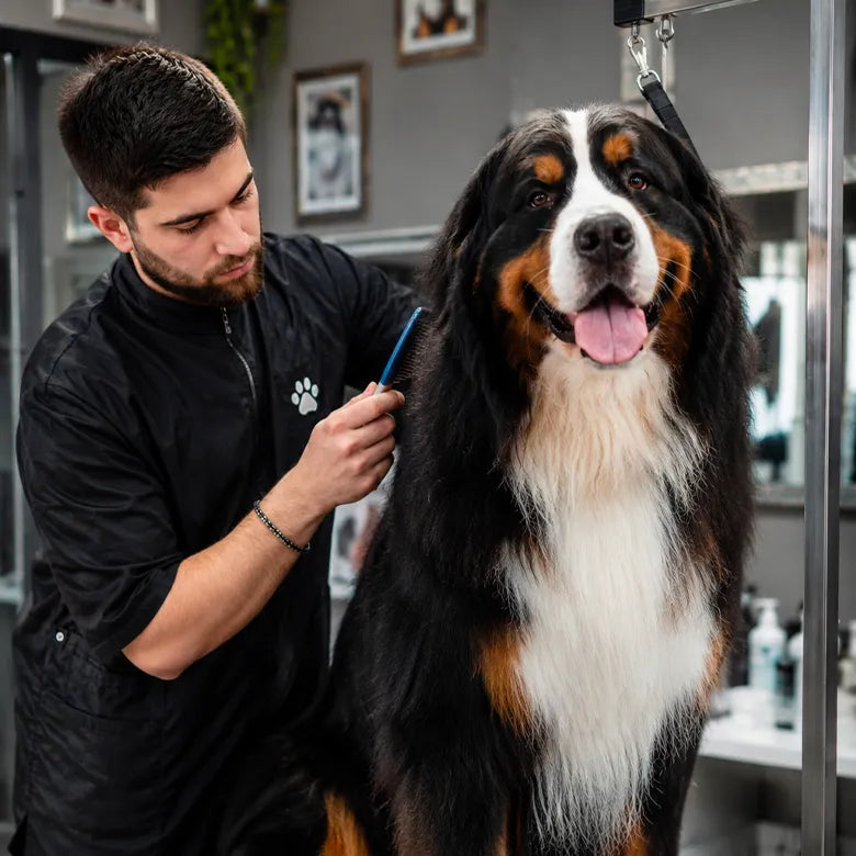 vantaggi nell'inserire prodotti dermatologici professionali ElsaBeauty per veterinari e pet care