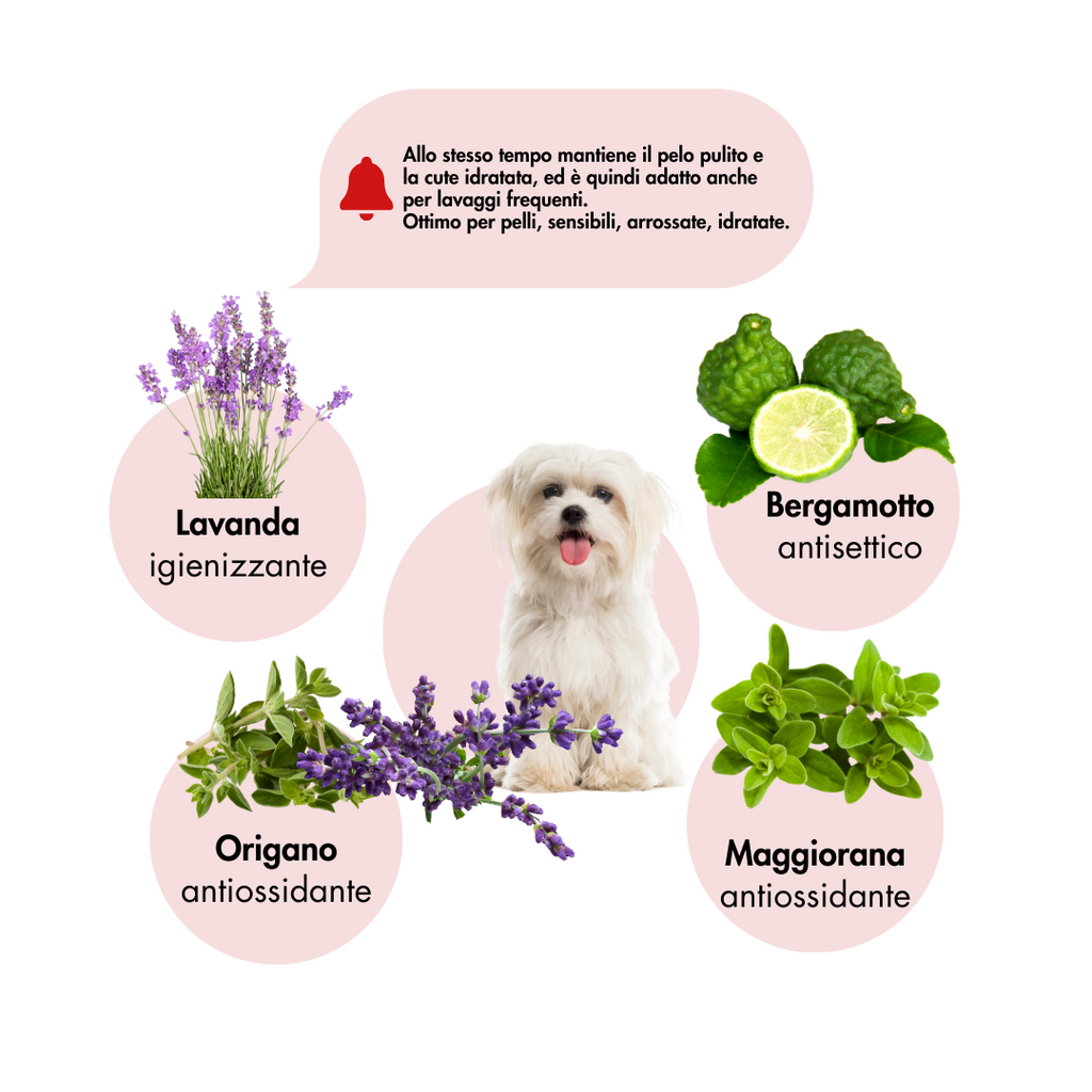 Elsabeauty Prodotti per la cura della pelle degli animali cani e gatti. Dermatite cani e gatti 